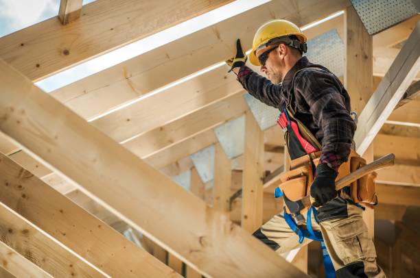 Best Roof Maintenance Services  in Roman Forest, TX