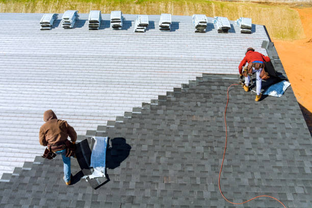 Best Metal Roofing Contractor  in Roman Forest, TX