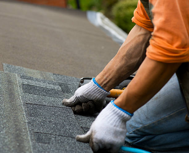 Best Commercial Roofing Services  in Roman Forest, TX
