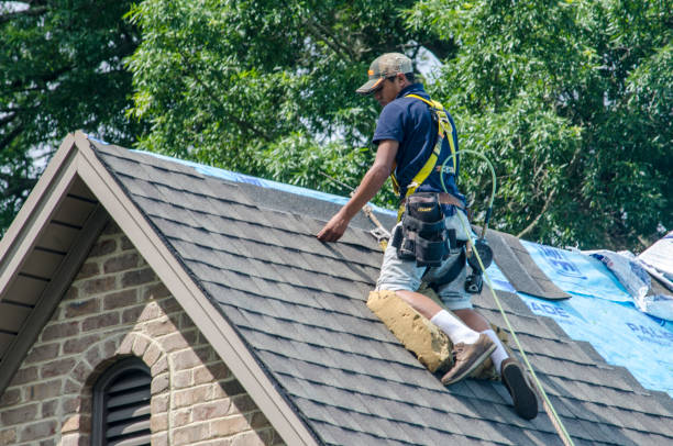 Professional Roofing Contractor in Roman Forest, TX